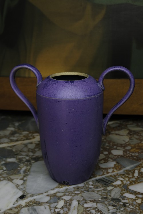 Fiolet_d.JPG